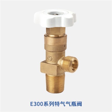 E300ϵ���ؚ��ƿ�y